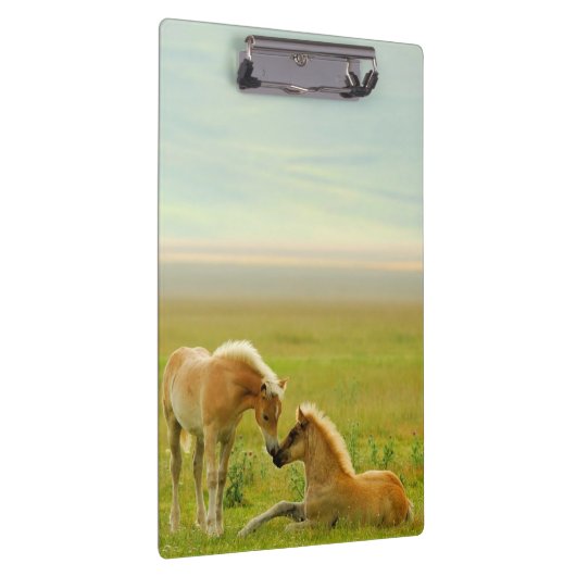 Pferdefohlen Klemmbrett (Rechts)