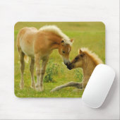 Pferdefohlen Mousepad (Mit Mouse)