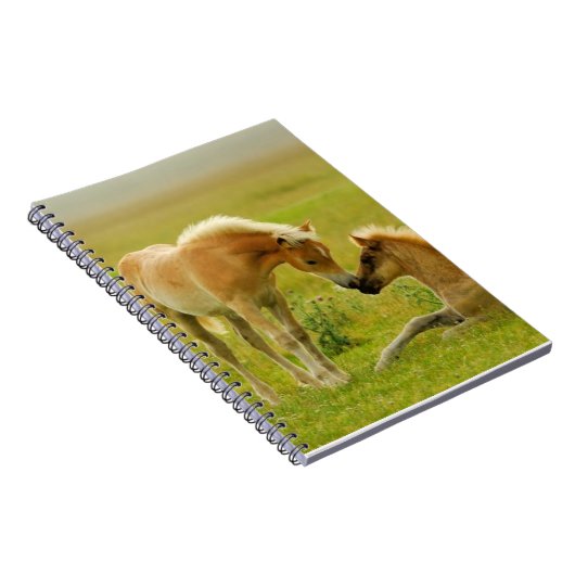 Pferdefohlen Notizblock (Rechte Seite)