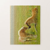 Pferdefohlen Puzzle (Vertikal)