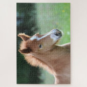 Pferdefohlen Puzzle (Vertikal)