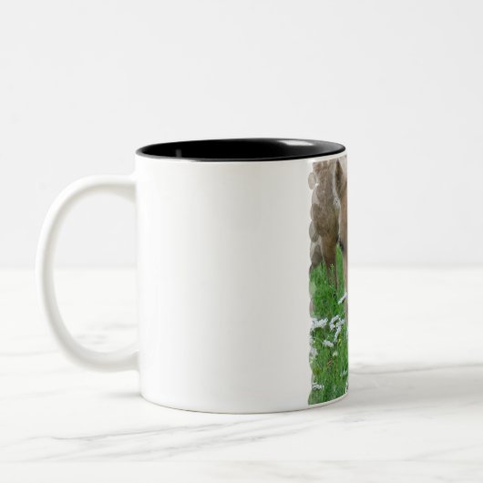 Pferdefohlen-riechende Blumen auf einer Tasse (Links)