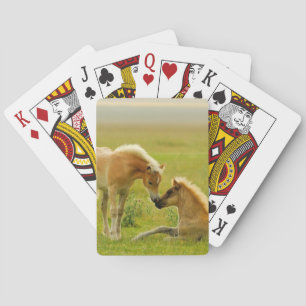 Pferdefohlen Spielkarten