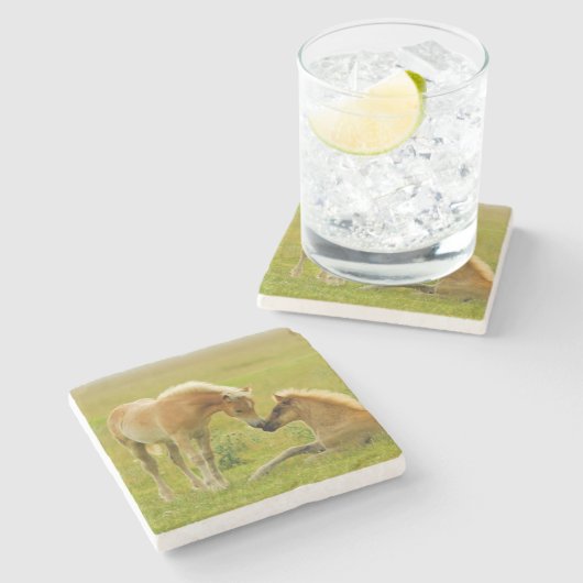 Pferdefohlen Steinuntersetzer (Seitenansicht)