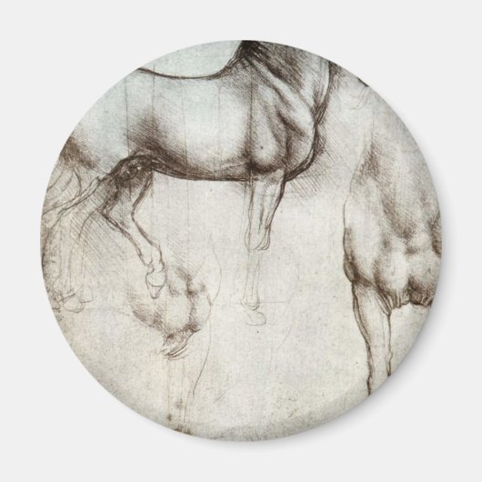 Pferdeforschung - Leonardo da Vinci Magnet (Vorne)