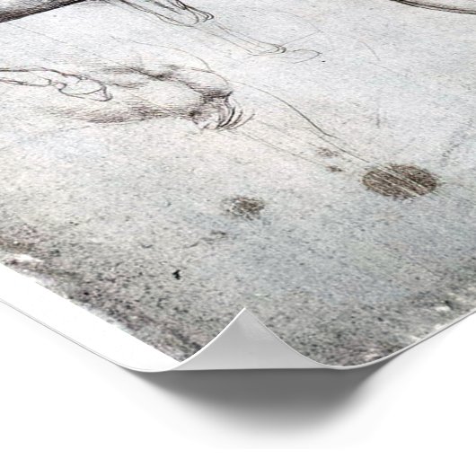 Pferdeforschung, Leonardo da Vinci Poster (Ecke)