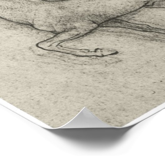 Pferdeforschung, Leonardo Da Vinci Poster (Ecke)