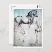 Pferdeforschung, Leonardo da Vinci Postkarte (Vorne/Hinten)