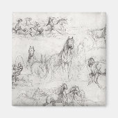 Pferdeforschung Magnet (Vorne)