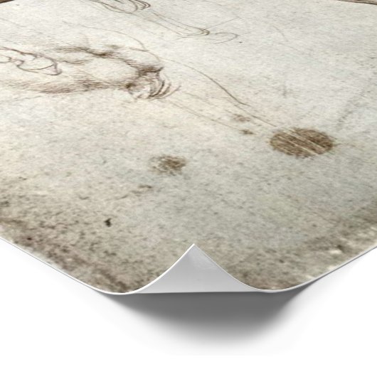 Pferdeforschung Poster (Ecke)