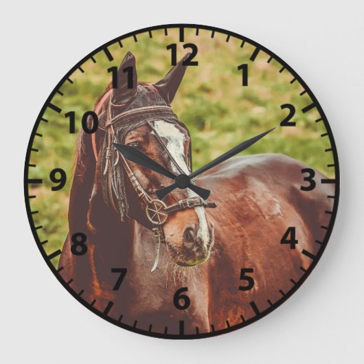 Pferdefoto Anpassbare Pferde Uhr (Vorderseite)