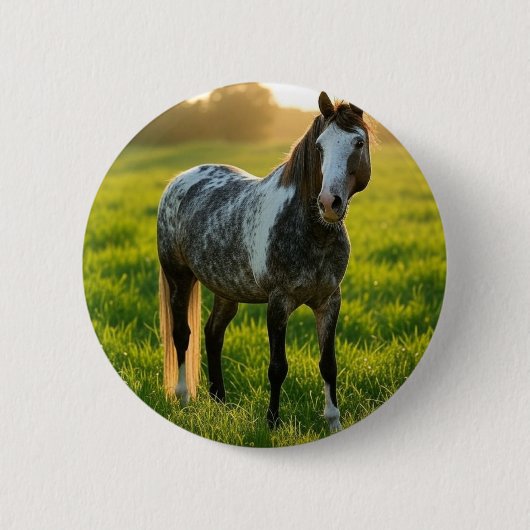 Pferdefoto anpassen button (Vorderseite)
