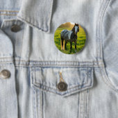 Pferdefoto anpassen button (Beispiel)
