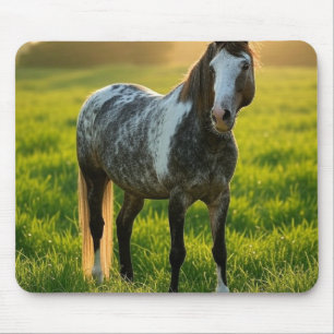Pferdefoto anpassen mousepad