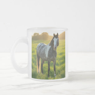 Pferdefoto anpassen und personalisieren mattglastasse