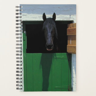 Pferdefoto Equine Stabled Pferd Französische Tür Planer