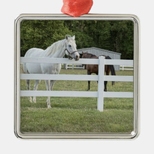 Pferdefoto-Ornament Ornament Aus Metall