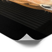 Pferdefoto Poster (Ecke)