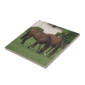 Pferdefotografie Fliese (Seite)