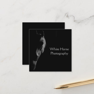 Pferdefotografie-Unternehmensbranding Termin