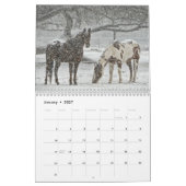Pferdefotos für Pferdefreunde Kalender (Jan 2027)