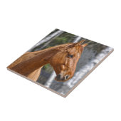 Pferdefreund-Design Fliese (Seite)