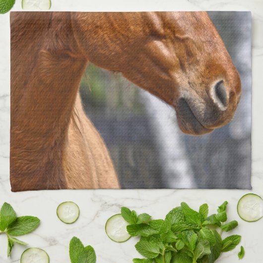 Pferdefreund-Design Handtuch (Gefaltet)