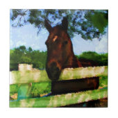 Pferdefreund Fliese (Vorderseite)