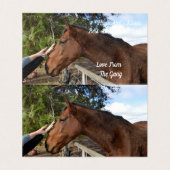 Pferdefreund für immer, Geburtskarte (Innenseite Aufgefaltet)