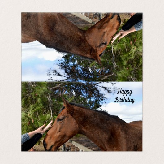 Pferdefreund für immer, Geburtskarte (Außenseite Aufgefaltet)