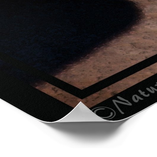 Pferdefreunde Art Poster -40x60-Klick für kleinere (Ecke)