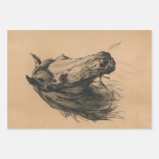 Pferdefreunde (Auswahl der Pferdearten) Geschenkpapier Set (Vorderseite 3)