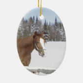 Pferdefreunde Dekorationen Keramik Ornament (Hinten)