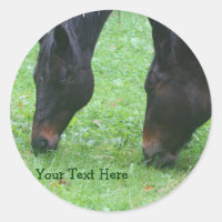 Pferdefreunde grasen zusammen Tieraufkleber
