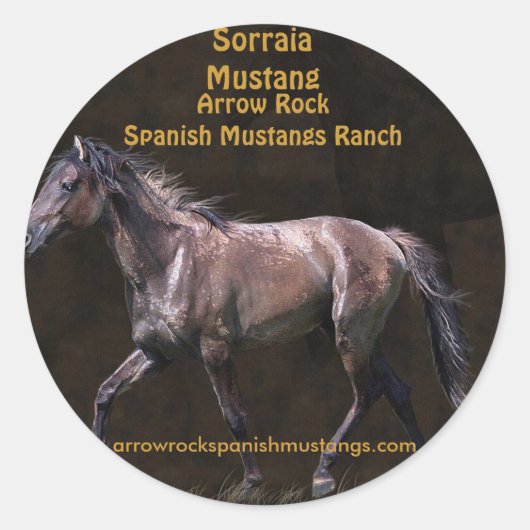 Pferdefreunde Pferdedesign Runder Aufkleber (Vorderseite)