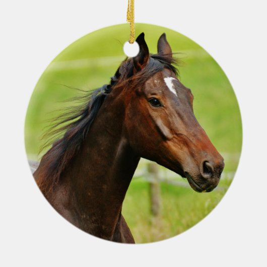 Pferdefreunde Pferdeerinnerung Keramik Ornament (Hinten)