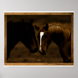 Pferdefreunde Poster