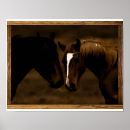 Pferdefreunde Poster (Vorne)