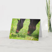 Pferdefreunde Weidetier Geburtstagskarte Karte (Vorderseite)