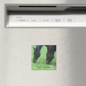 Pferdefreunde Weidetier Personalisiert Magnet (In Situ (Geschirrspüler))
