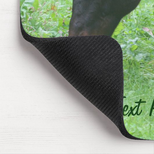 Pferdefreunde Weidetiermousepad Mousepad (Ecke)