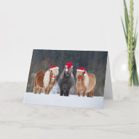 Pferdefreunde - Weihnachtskarte