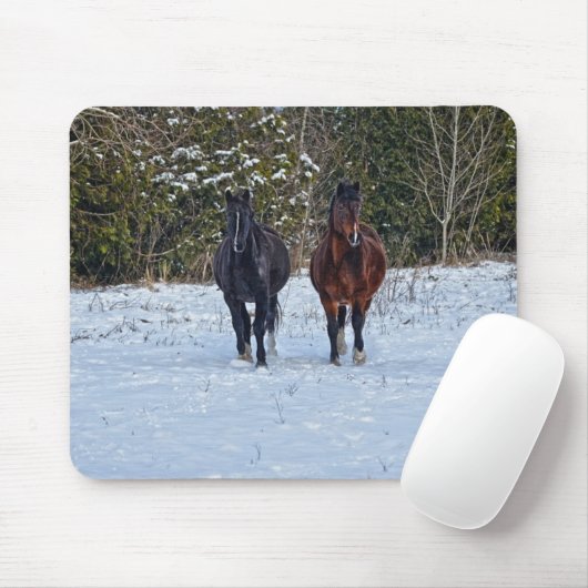 Pferdefreund's schönes Pferdedesign Mousepad (Mit Mouse)