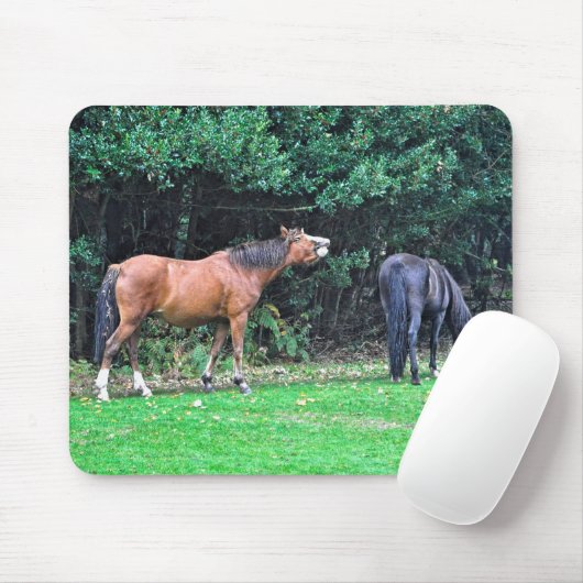 Pferdefreund's schönes Pferdedesign Mousepad (Mit Mouse)