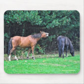 Pferdefreund's schönes Pferdedesign Mousepad (Vorne)