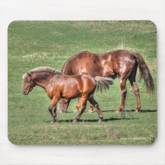 Pferdefreund's schönes Pferdedesign Mousepad (Vorne)