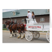 Pferdefüge auf einer Staat-Messe (Vorderseite (Horizontal))