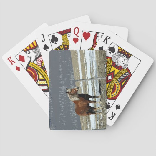 Pferdefuhrung in Paddock Spielkarten (Rückseite)