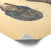 Pferdefußanatomie 1908 Vintag drucken Poster (Ecke)