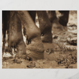 Pferdefüße Western Vintag Sepia Brown Rustikal